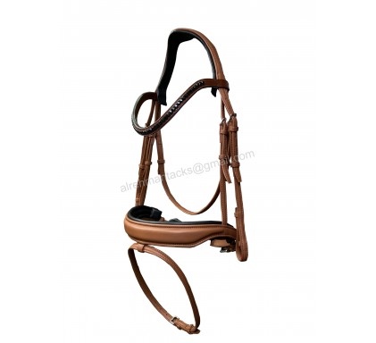 Leather Bridle 